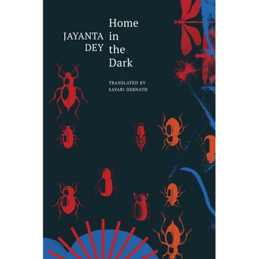 Home in the Dark: Selected Stories