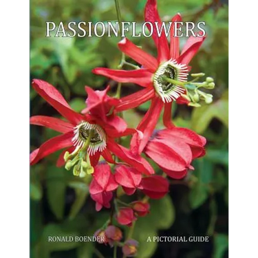 Passionflowers: A Pictorial Guide