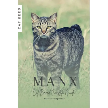 Manx: Cat Breed Complete Guide