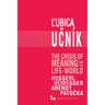 The Crisis of Meaning and the Life-World: Husserl, Heidegger, Arendt, Patocka