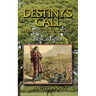 Destiny's Call: Book Five - Deuteronomy: Biblical Fiction