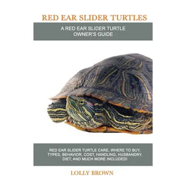 Red Ear Slider Turtles: Red Ear Slider Turtle care, where to buy, types, behavior, cost, handling, husbandry, diet, and much more included! A