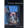 Visual Agnosia