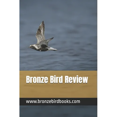 Bronze Bird Review