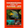 Snorkeling Guide to Marine Life Florida, Caribbean, Bahamas