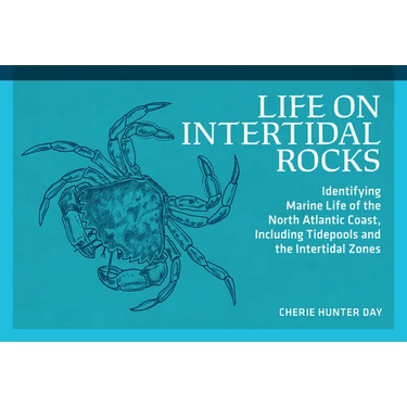 Life on Intertidal Rocks: Identifying Marine Life of the North Atlantic Coast, Including Tidepools and the Intertidal Zones
