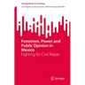 Feminism, Power and Public Opinion in Mexico: Fighting for Civil Repair
