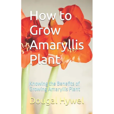 How to Grow Amaryllis Plant: Knowing the Benefits of Growing Amaryllis Plant