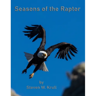 Seasons of the Raptor: One Year Photographing Colorado's Raptors