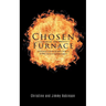 Chosen in the Furnace: A Testimony of Survival and a Guide to All Who Desire to be Encouragers