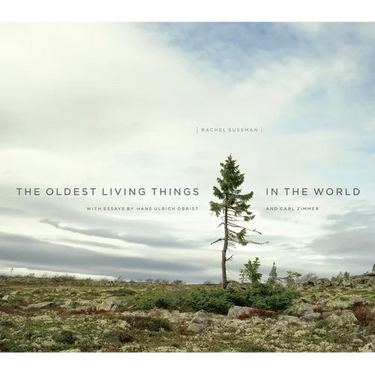 The Oldest Living Things in the World