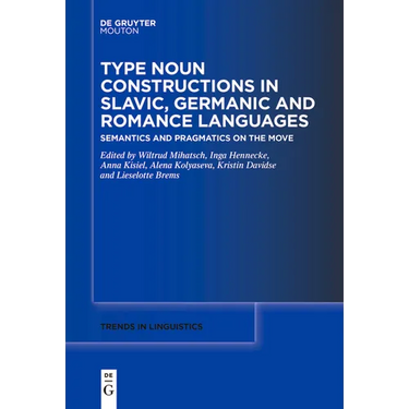 Type Noun Constructions in Slavic, Germanic and Romance Languages: Semantics and Pragmatics on the Move