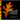 Munsell Trees: A Season of Leaves and Colors