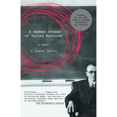 A Madman Dreams of Turing Machines