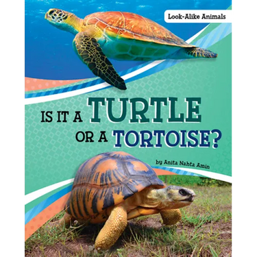 Is It a Turtle or a Tortoise?