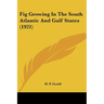 Fig Growing In The South Atlantic And Gulf States (1921)