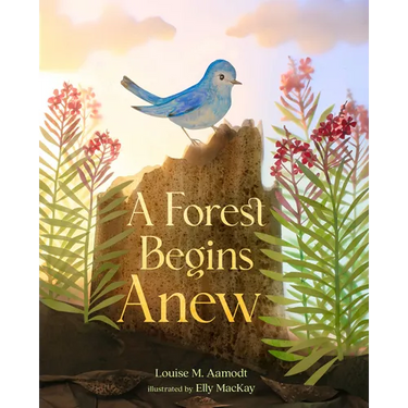 A Forest Begins Anew