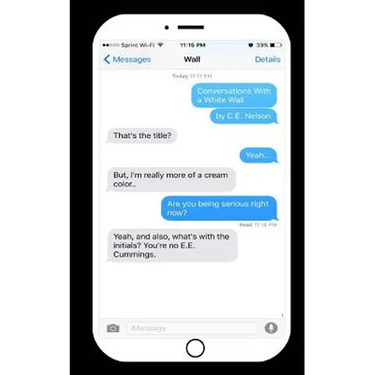 Conversations With a White Wall