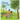 Anesu's Tree