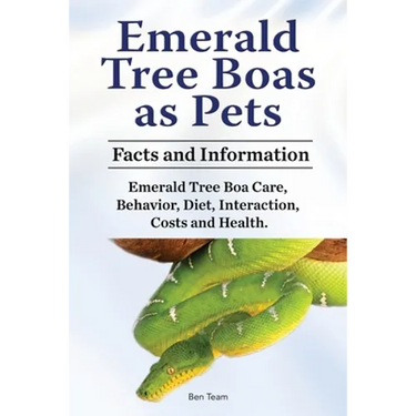 Emerald Tree Boas as Pets. Facts and Information. Emerald Tree Boa Care, Behavior, Diet, Interaction, Costs and Health.
