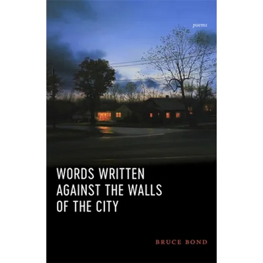 Words Written Against the Walls of the City: Poems