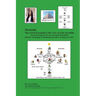 MerKaBa: The Great Pyramid Is The Tree Of Life: KaAbBa: Secrets Revealed in The Great Pyramid MerAkhutu Kemetic Technology for Remaking Ourselves as B