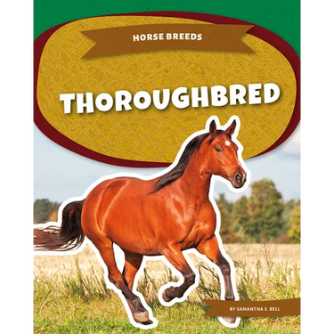 Thoroughbred