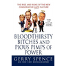 Bloodthirsty Bitches and Pious Pimps of Power: The Rise and Risks of the New Conservative Hate Culture