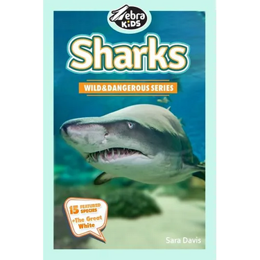 Sharks: Amazing Pictures & Fun Facts