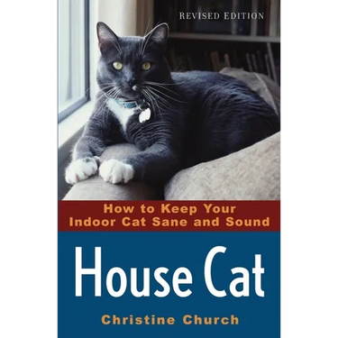 House Cat: How to Keep Your Indoor Cat Sane and Sound