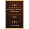 Wood's Illustrated Handbook To New York And Environs: A Guide For The Traveler Or Resident (1873)