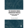 The Business Model Innovation Process: Preparation, Organization and Management