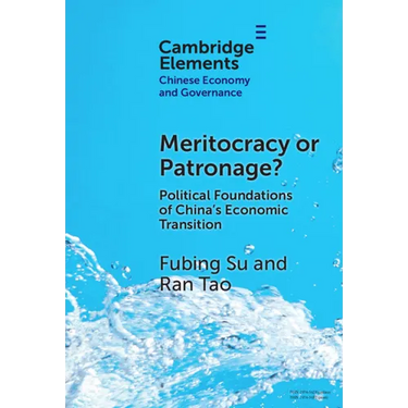 Meritocracy or Patronage?
