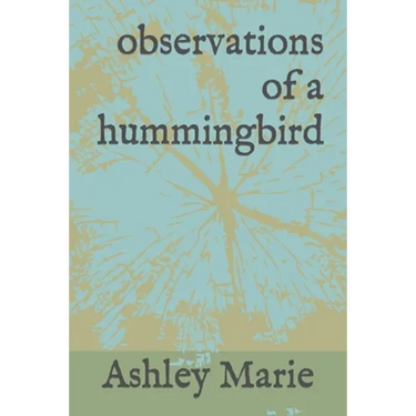 observations of a hummingbird