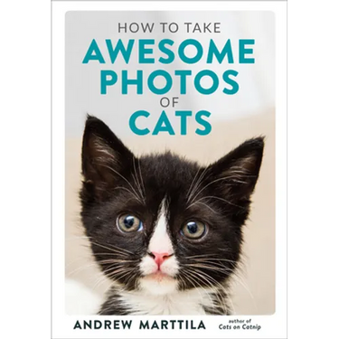 How to Take Awesome Photos of Cats