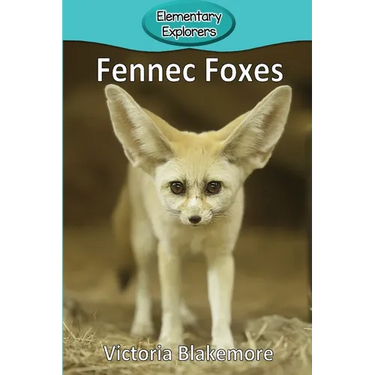 Fennec Foxes