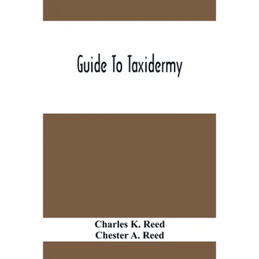 Guide To Taxidermy