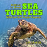 Getting to Know Sea Turtles: With the Sea Turtle Experts
