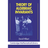 Theory of Algebraic Invariants