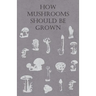 How Mushrooms Should Be Grown