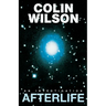 Afterlife: An Investigation