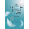 The Promise Between Lives: A Soul Contract