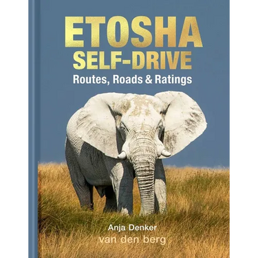 Etosha Self-Drive: Routes, Roads & Ratings