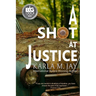 A Shot at Justice: A Highly Addictive Vigilante Story
