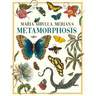 Maria Sibylla Merian's Metamorphosis: One Woman's Discovery of the Transformation of Butterflies and Insects