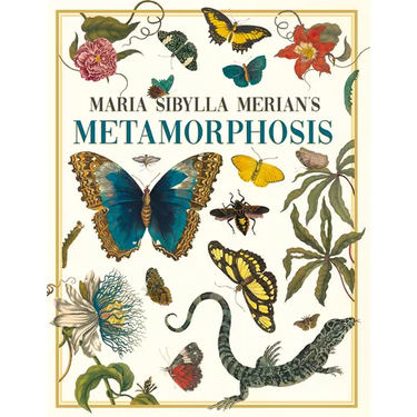Maria Sibylla Merian's Metamorphosis: One Woman's Discovery of the Transformation of Butterflies and Insects