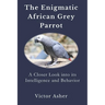 The Enigmatic African Grey Parrot: A Closer Look into its Intelligence and Behavior