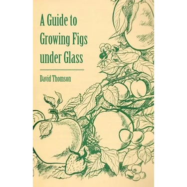 A Guide to Growing Figs Under Glass