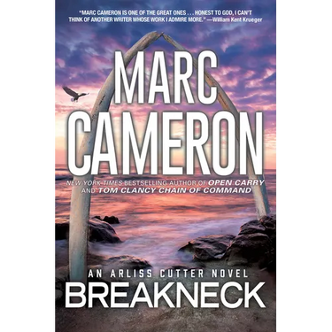 Breakneck: A Captivating Novel of Suspense