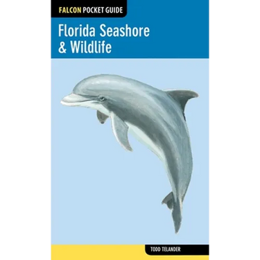 Florida Seashore & Wildlife